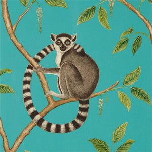 Sanderson Ringtailed Lemur Behang 216663 - LAB COLOUR THE WORLD