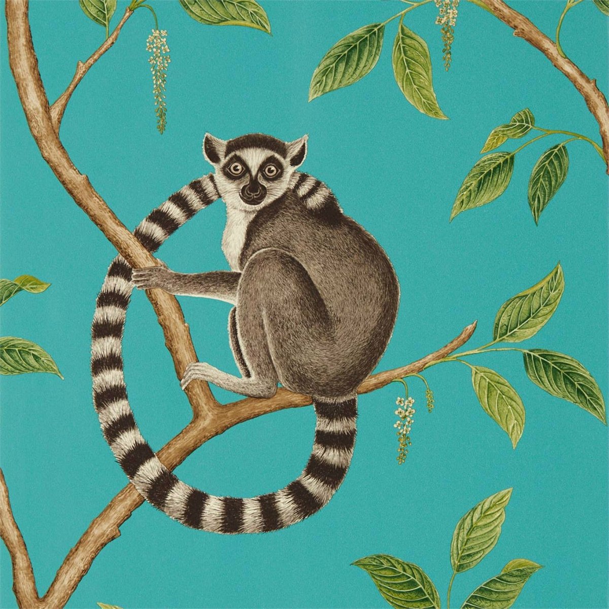 Sanderson Ringtailed Lemur Behang 216663 - LAB COLOUR THE WORLD