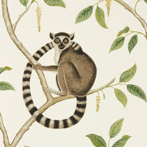 Sanderson Ringtailed Lemur Behang 216664 - LAB COLOUR THE WORLD