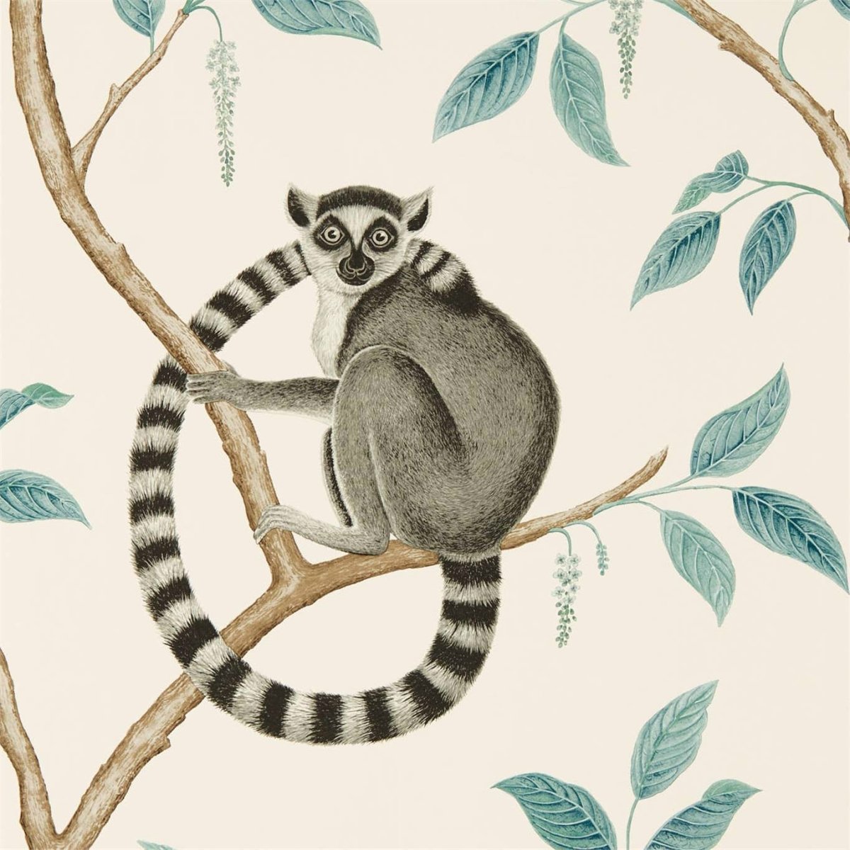 Sanderson Ringtailed Lemur Behang 216665 - LAB COLOUR THE WORLD