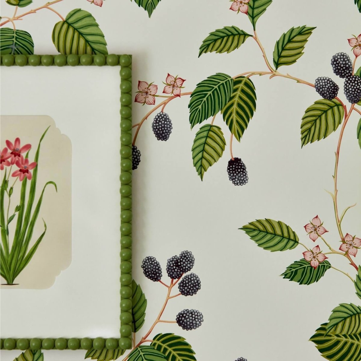 Sanderson Rubus Behang 217227 - LAB COLOUR THE WORLD