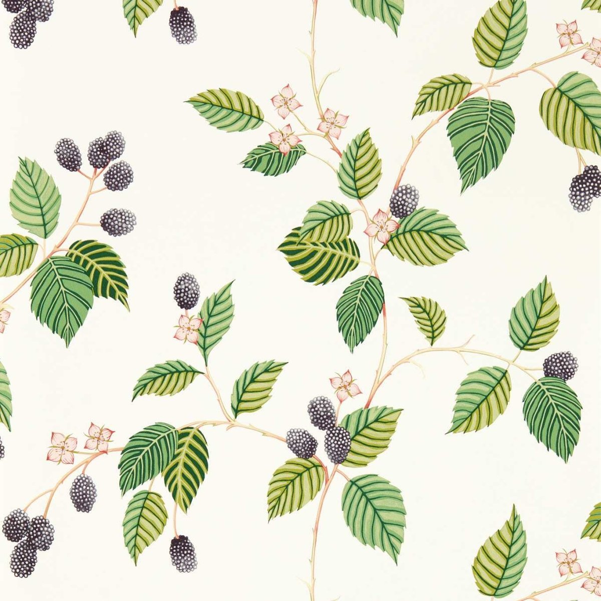 Sanderson Rubus Behang 217227 - LAB COLOUR THE WORLD