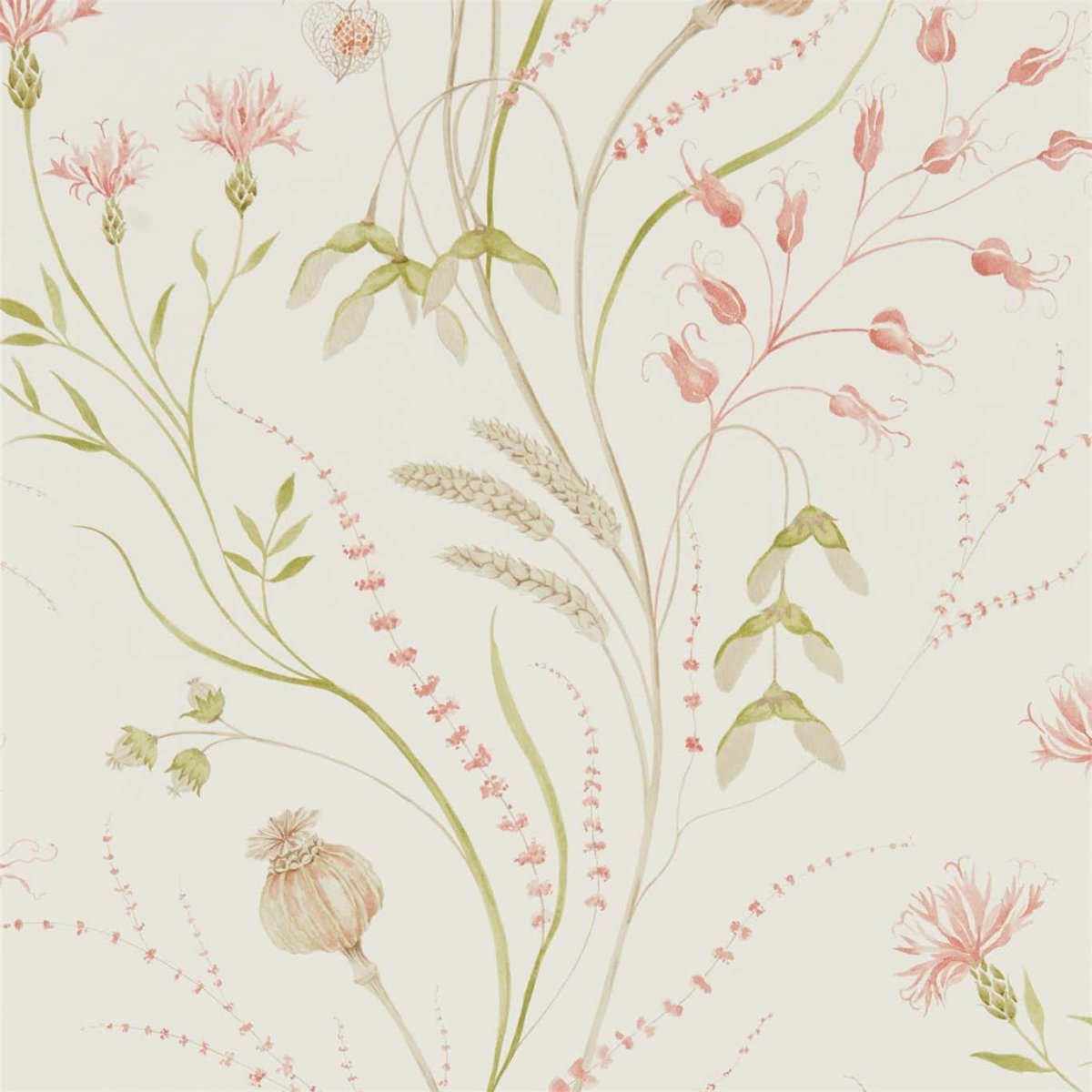 Sanderson Summer Harvest Behang 216495 - LAB COLOUR THE WORLD