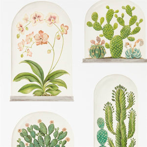 Sanderson Terrariums Behang 216655 - LAB COLOUR THE WORLD