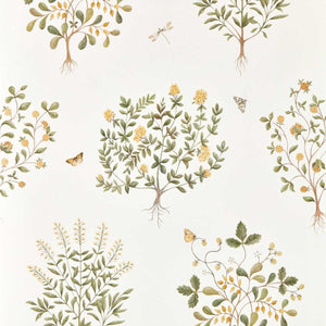 Sanderson Thyme Walk Behang 217508 - LAB COLOUR THE WORLD