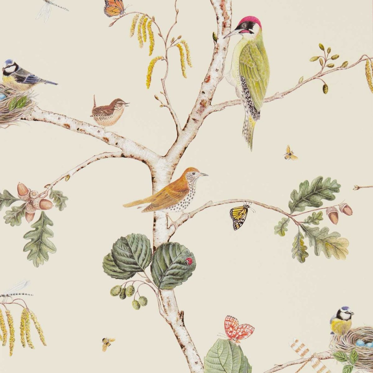 Sanderson Woodland Chorus Behang 215703 - LAB COLOUR THE WORLD