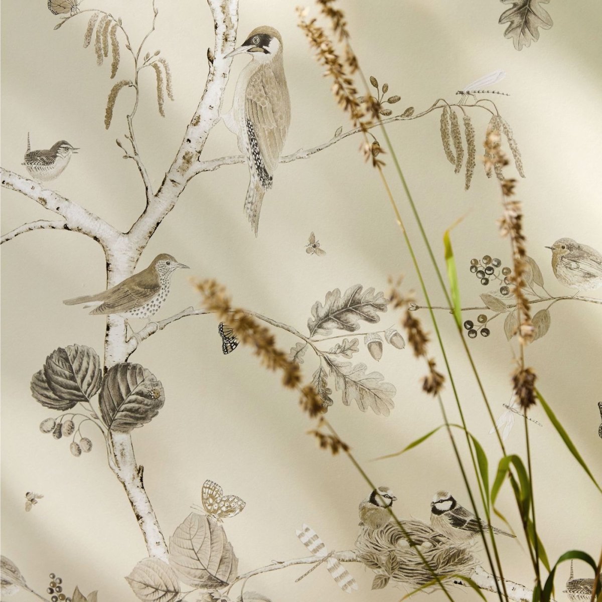 Sanderson Woodland Chorus Behang 215704 - LAB COLOUR THE WORLD