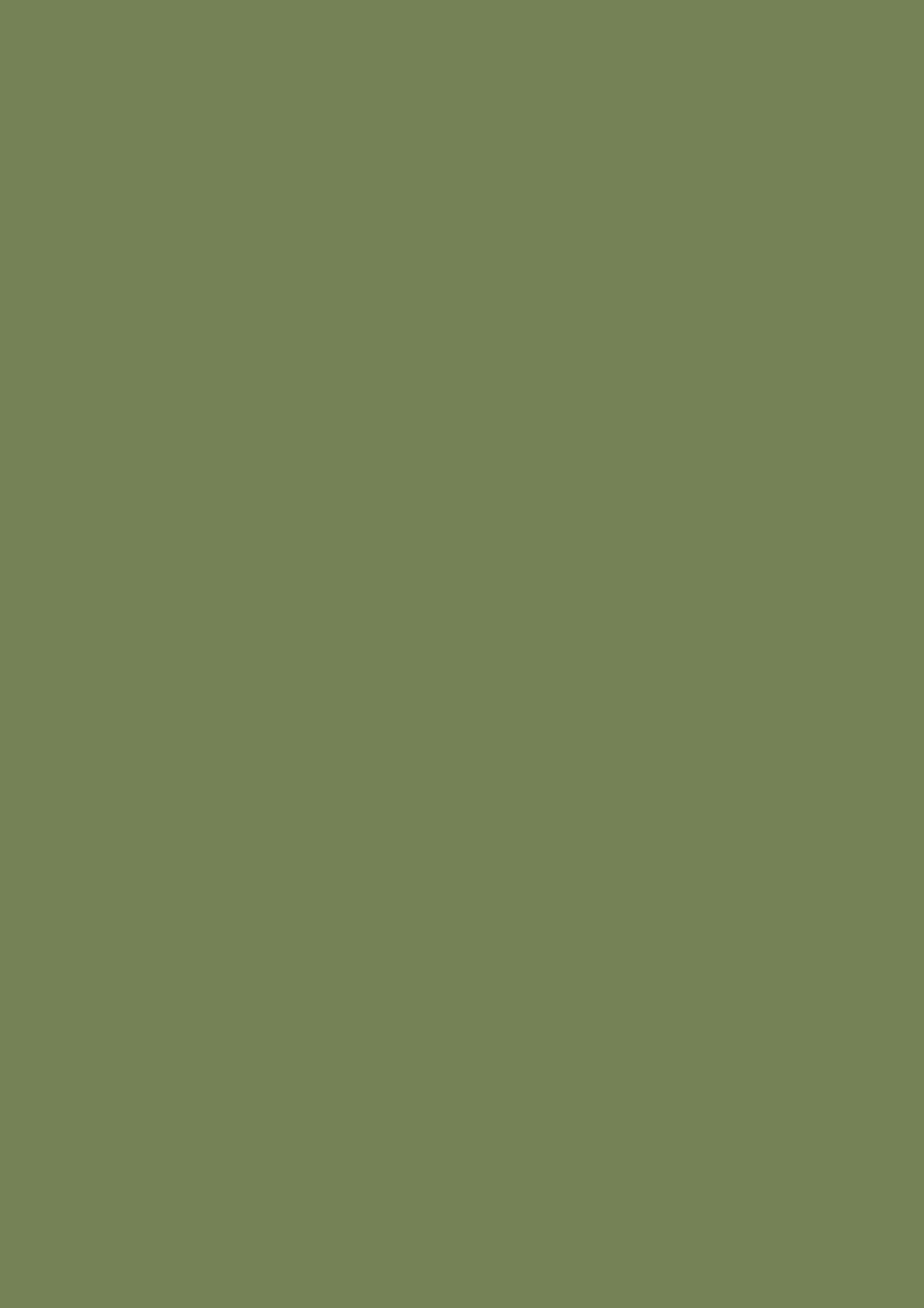 Sap Green no. 199 - LAB COLOUR THE WORLD
