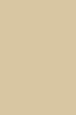 Savage Ground no. 213 - LAB COLOUR THE WORLD