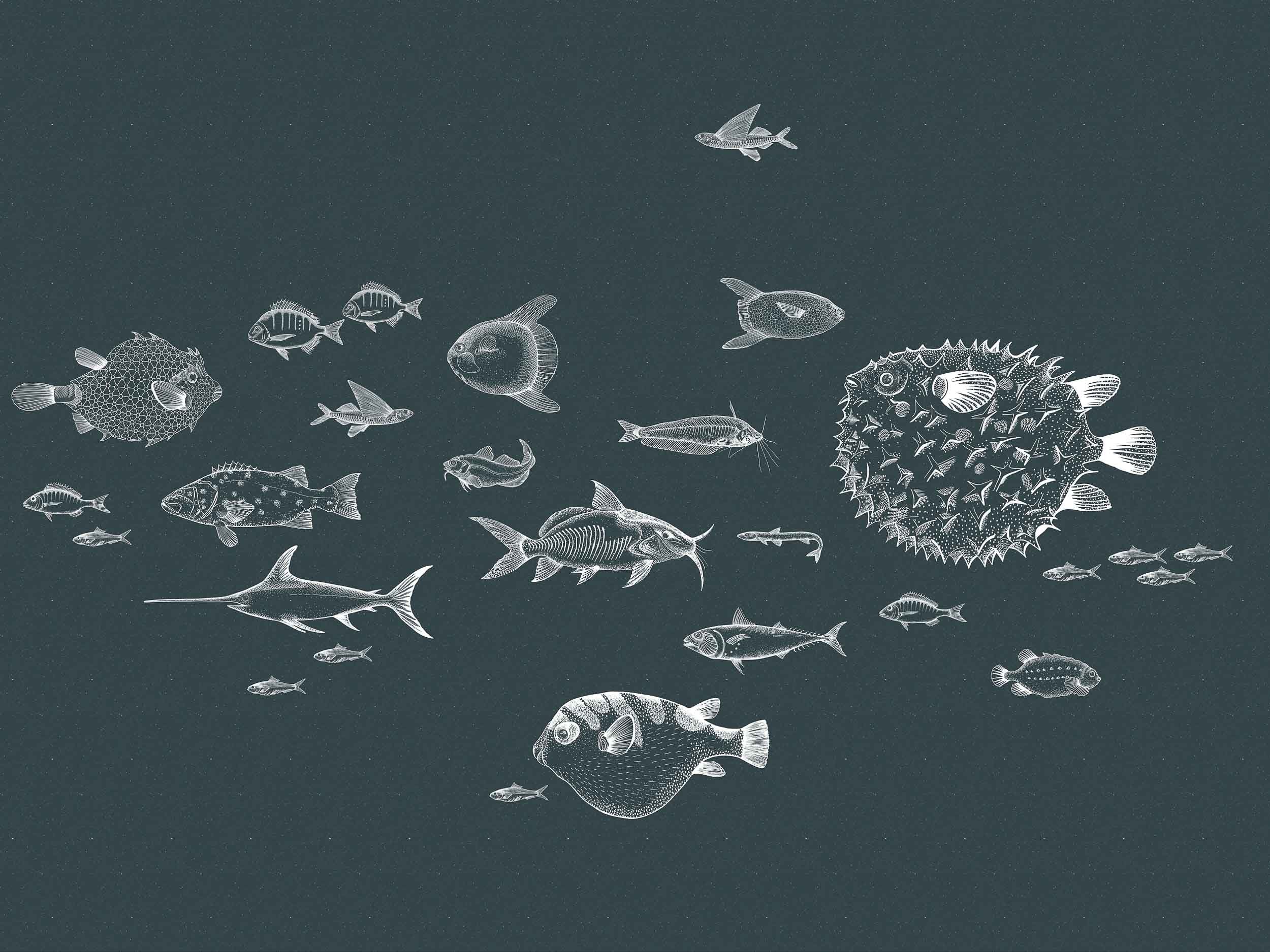 Coordonné Naturae Sea Current behang 9500602 behang afbeelding 1