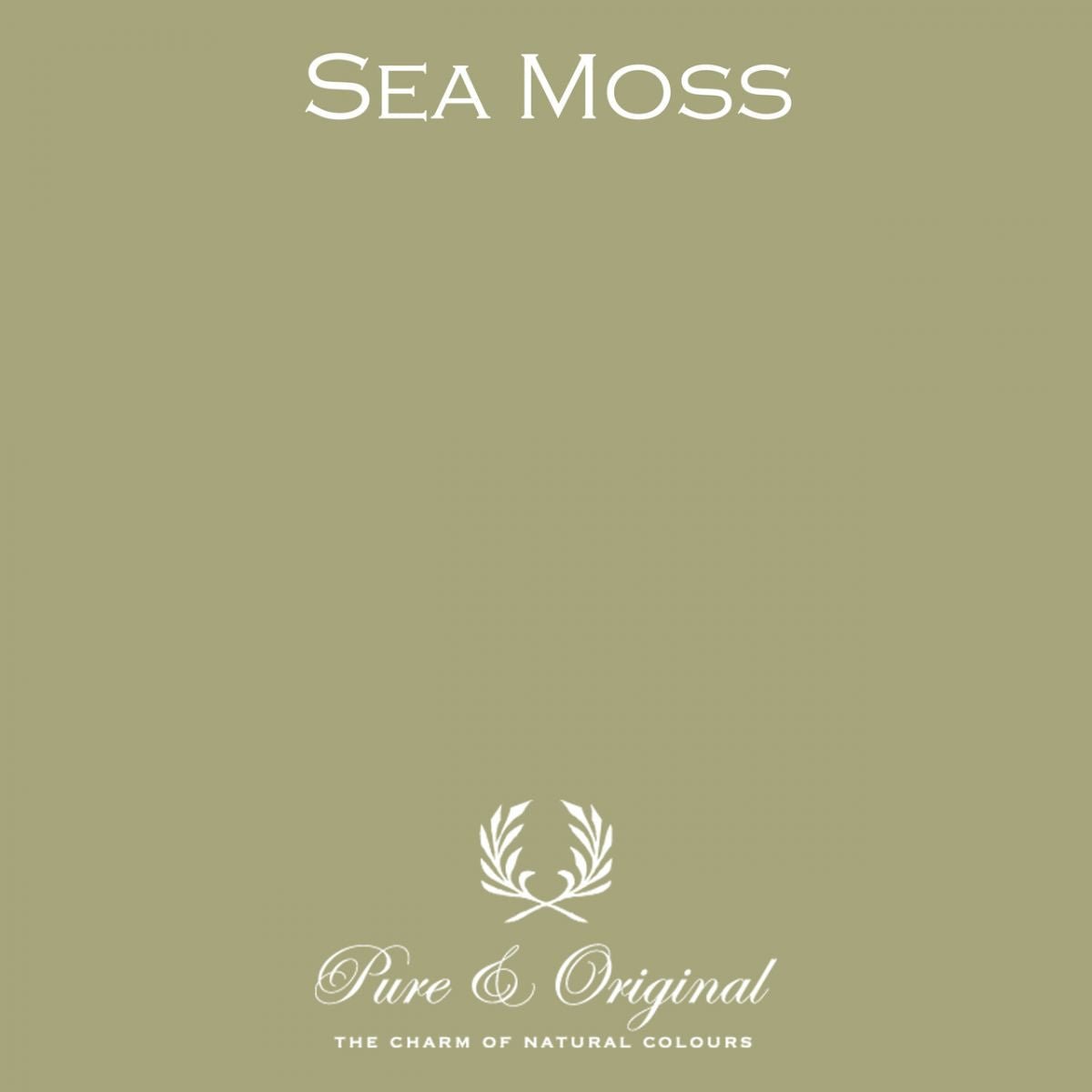 Sea Moss - LAB COLOUR THE WORLD