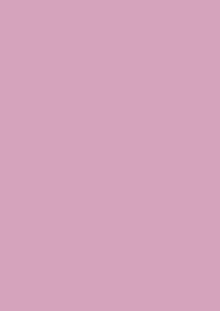 Shallot no. CB3 - LAB COLOUR THE WORLD