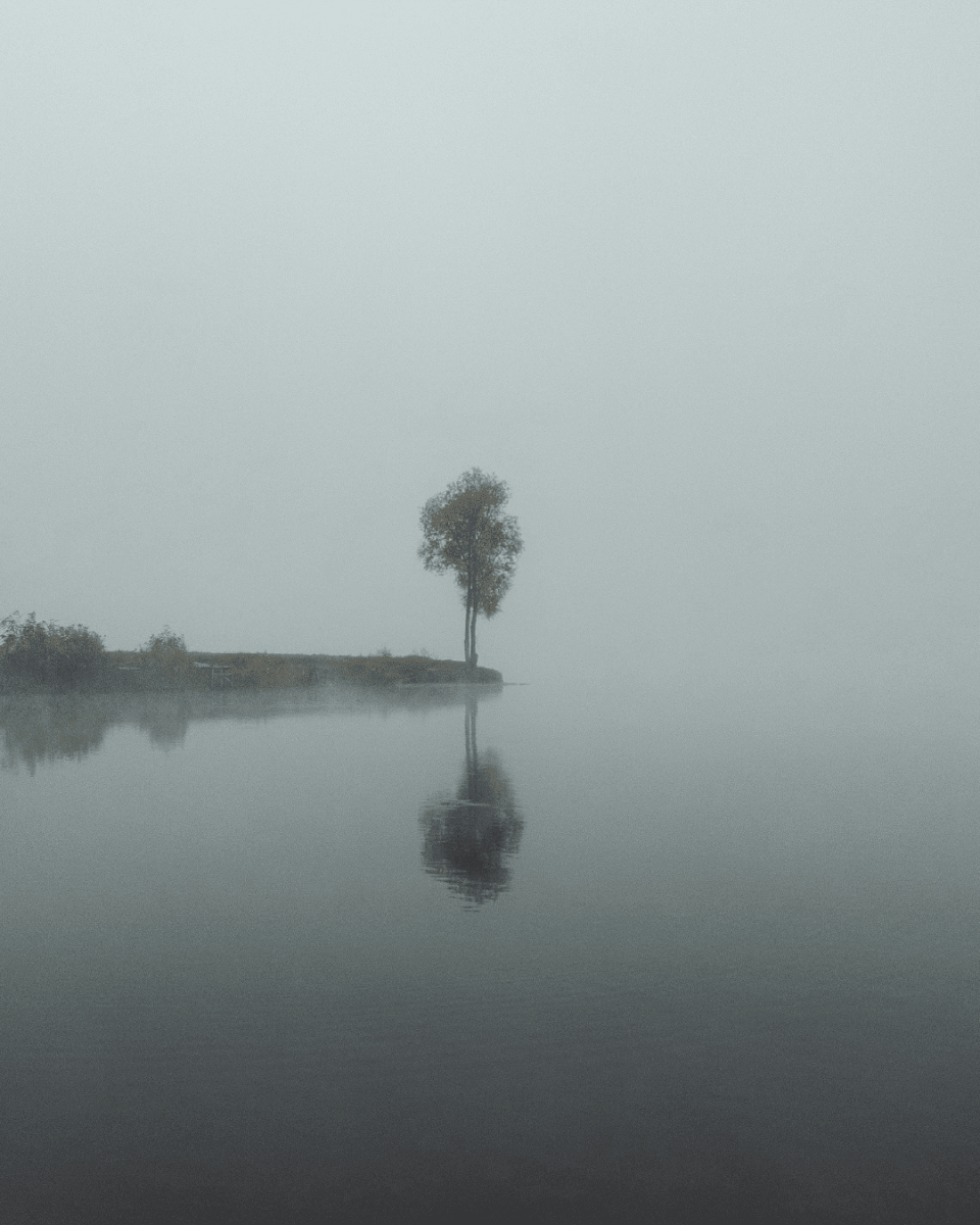 SILENCE NO. 107 - LAB COLOUR THE WORLD