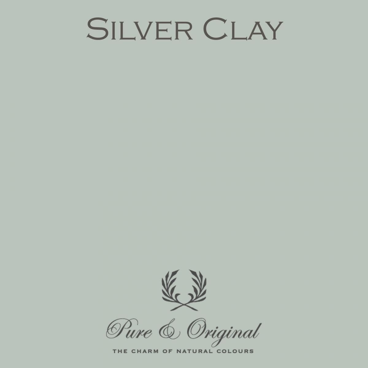 Silver Clay - LAB COLOUR THE WORLD