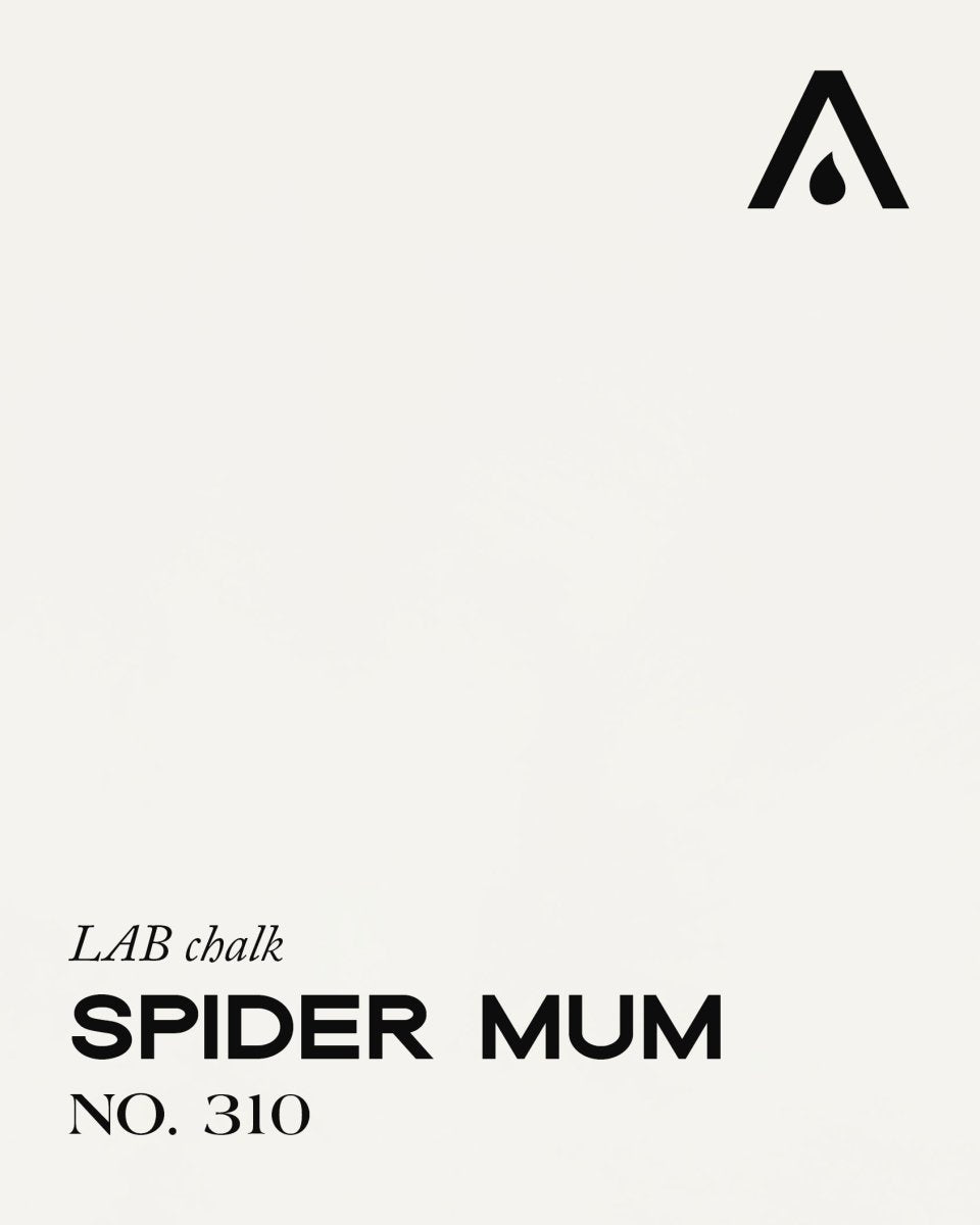 SPIDER MUM NO. 310 - LAB COLOUR THE WORLD