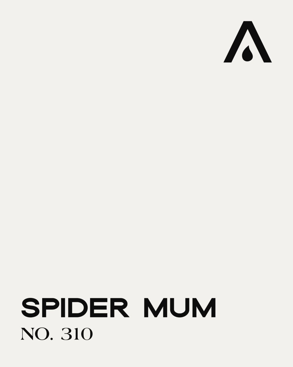 SPIDER MUM NO. 310 - LAB COLOUR THE WORLD