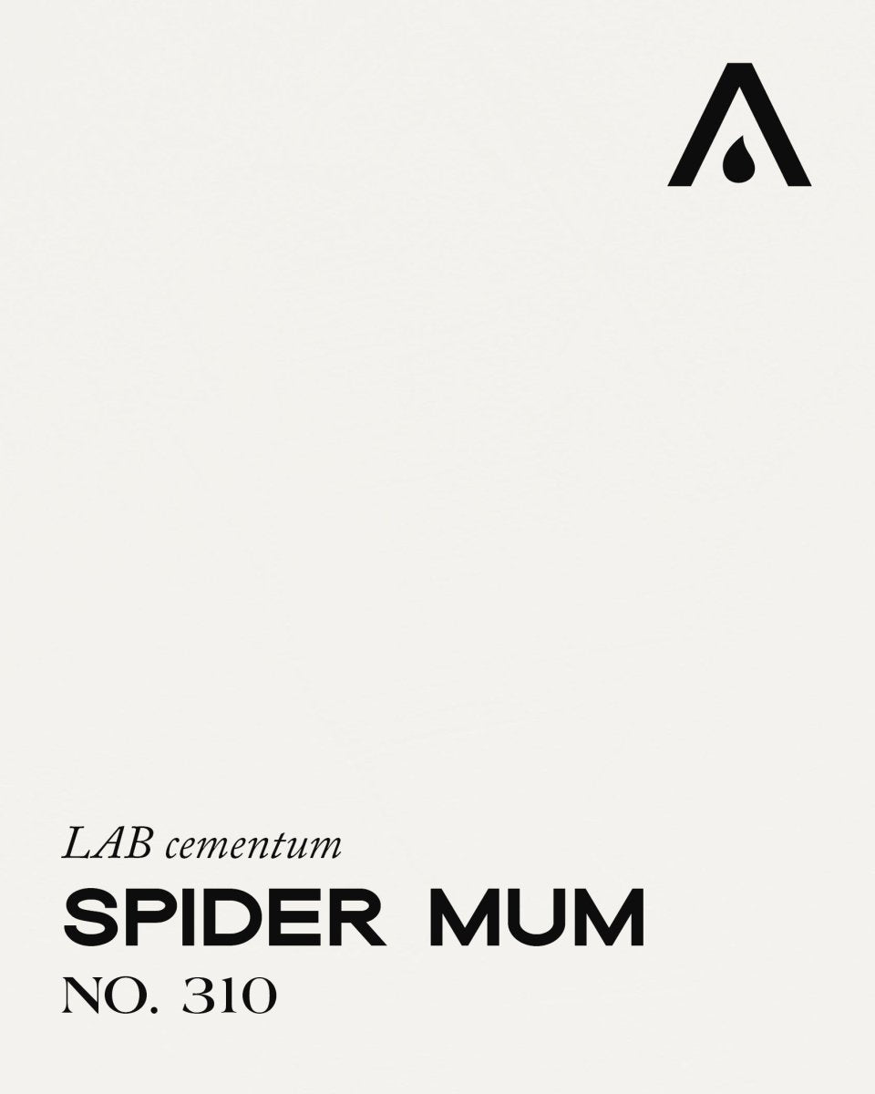SPIDER MUM NO. 310 - LAB COLOUR THE WORLD
