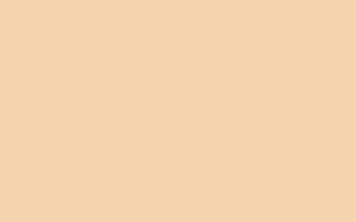 Stone Pale Warm no. 34 - LAB COLOUR THE WORLD