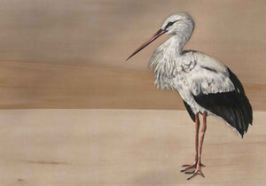 Coordonné Naturae Stork Mother behang 9500301 behang afbeelding 1