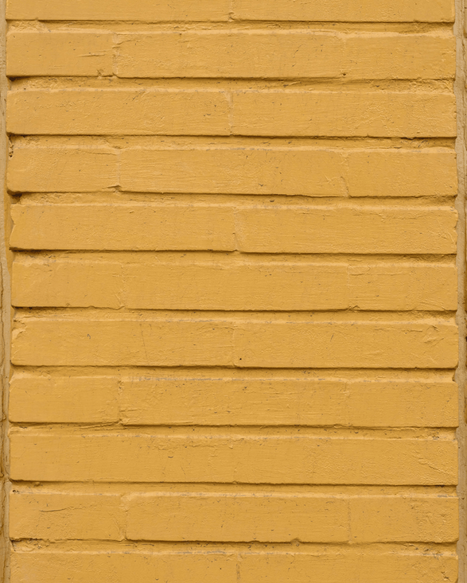 STRAW NO. 209 - LAB COLOUR THE WORLD