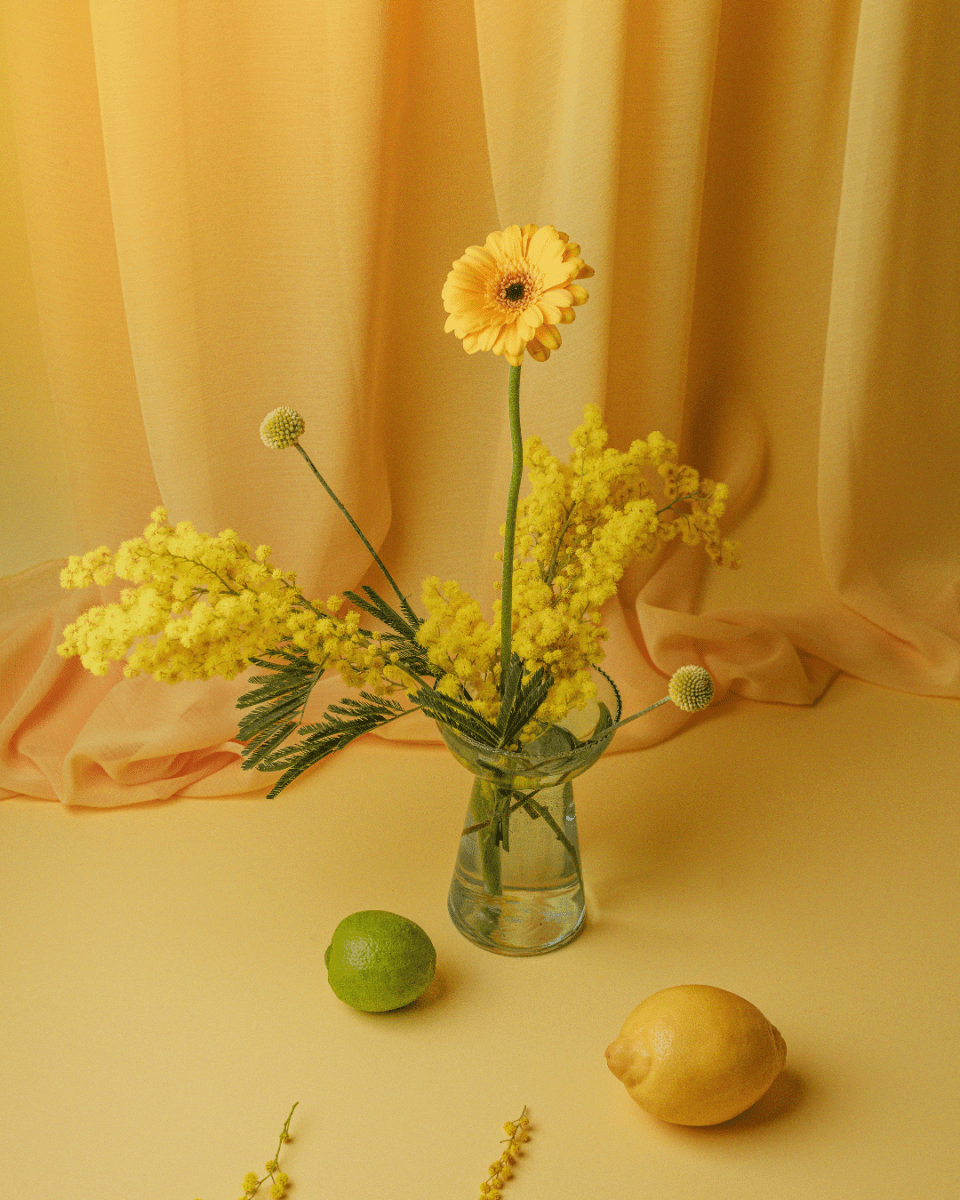 STRAW NO. 209 - LAB COLOUR THE WORLD