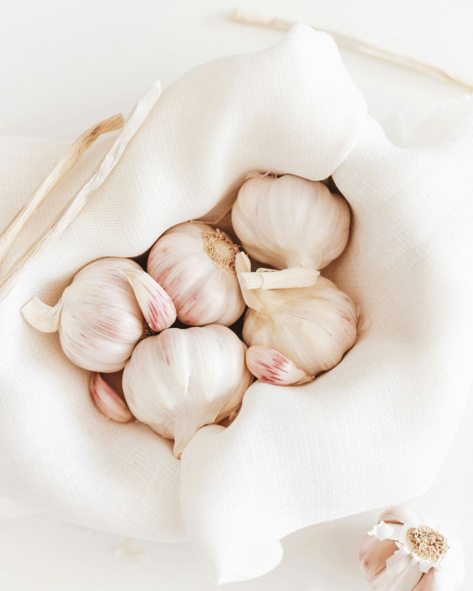 STRONG GARLIC NO. 92 - LAB COLOUR THE WORLD