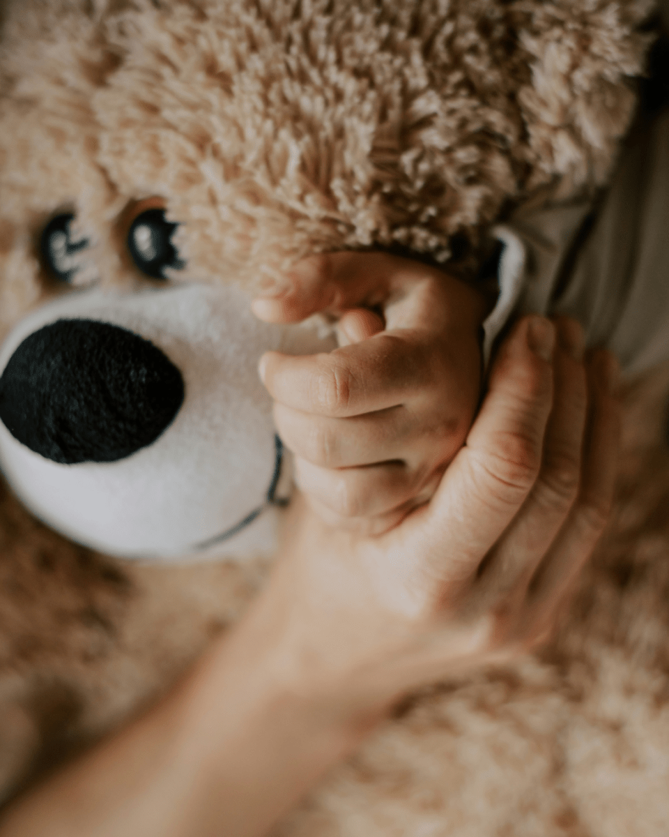 TEDDY NO. 518 - LAB COLOUR THE WORLD