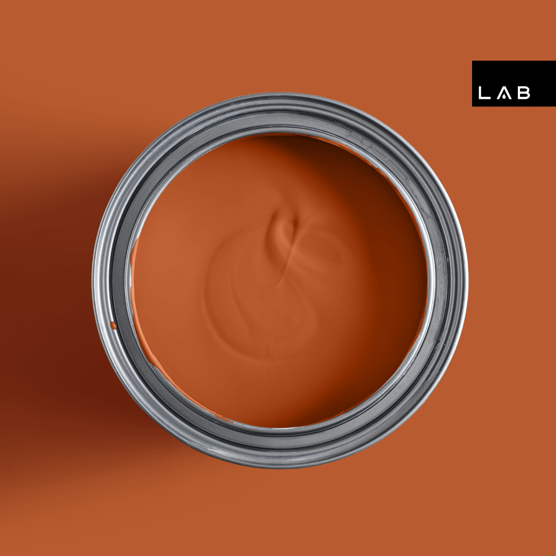 TERRACOTTA WARRIOR NO. 42 - LAB COLOUR THE WORLD