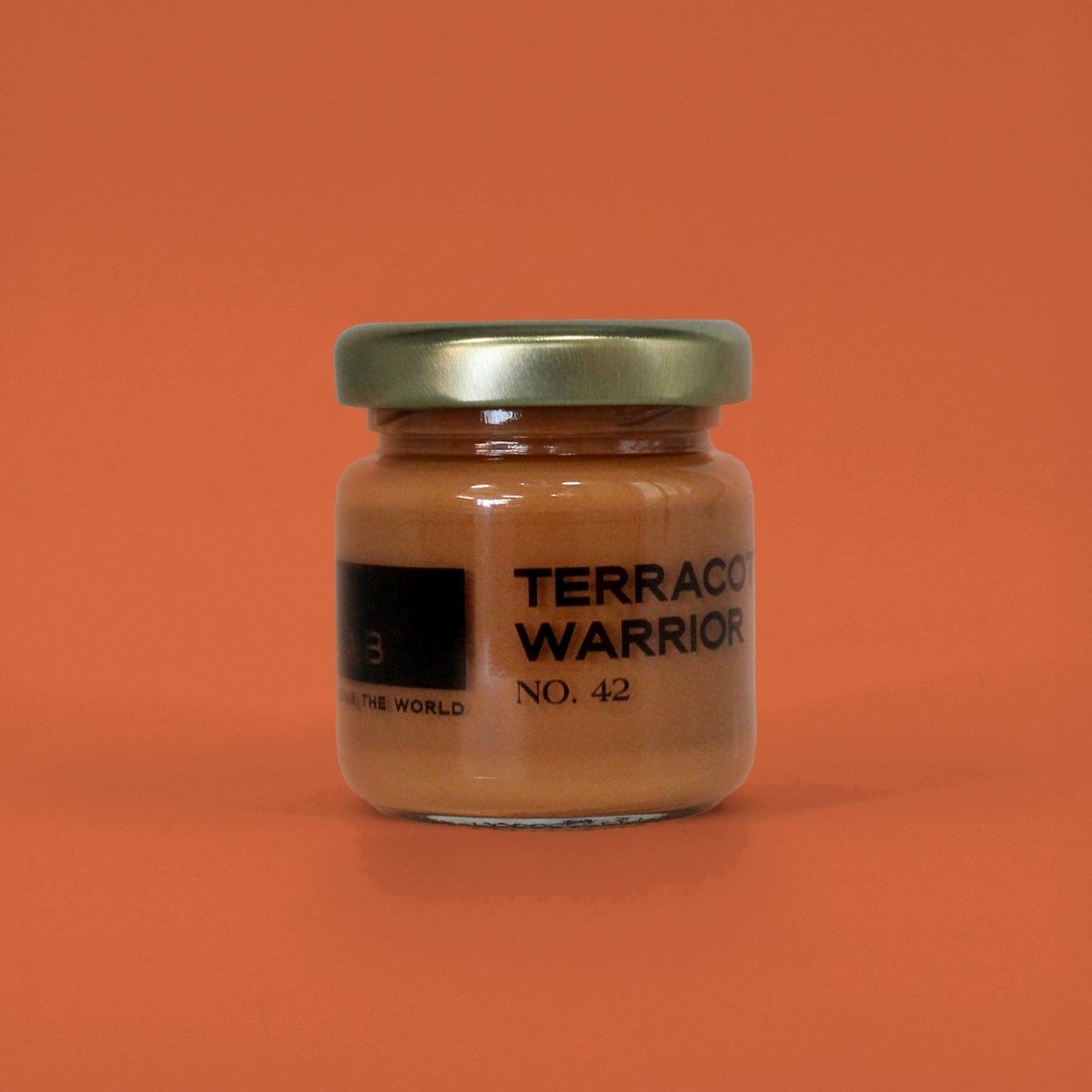 TERRACOTTA WARRIOR NO. 42 - LAB COLOUR THE WORLD