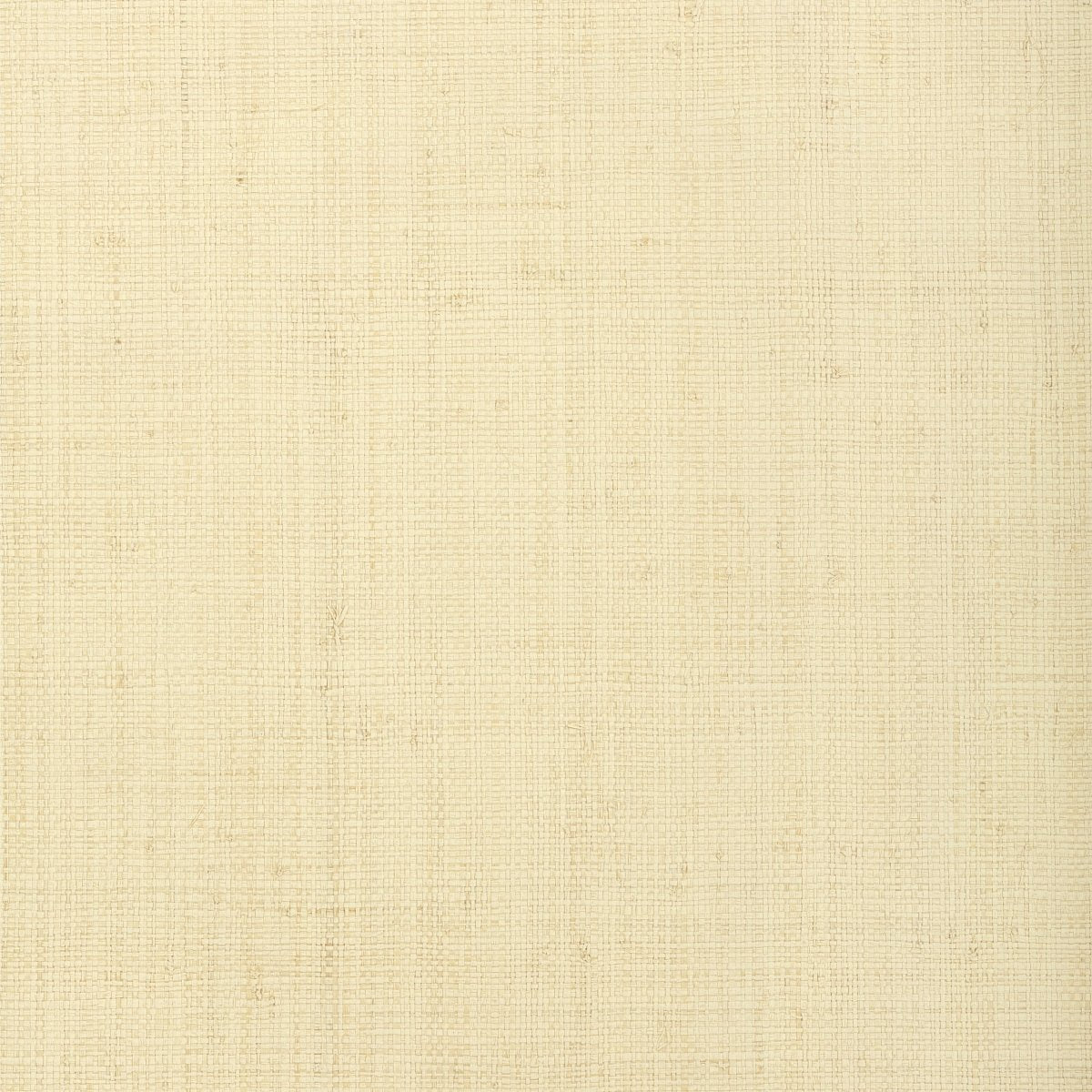 Thibaut Grasscloth Resource 4 Provincial Weave Behang T72877 - LAB COLOUR THE WORLD