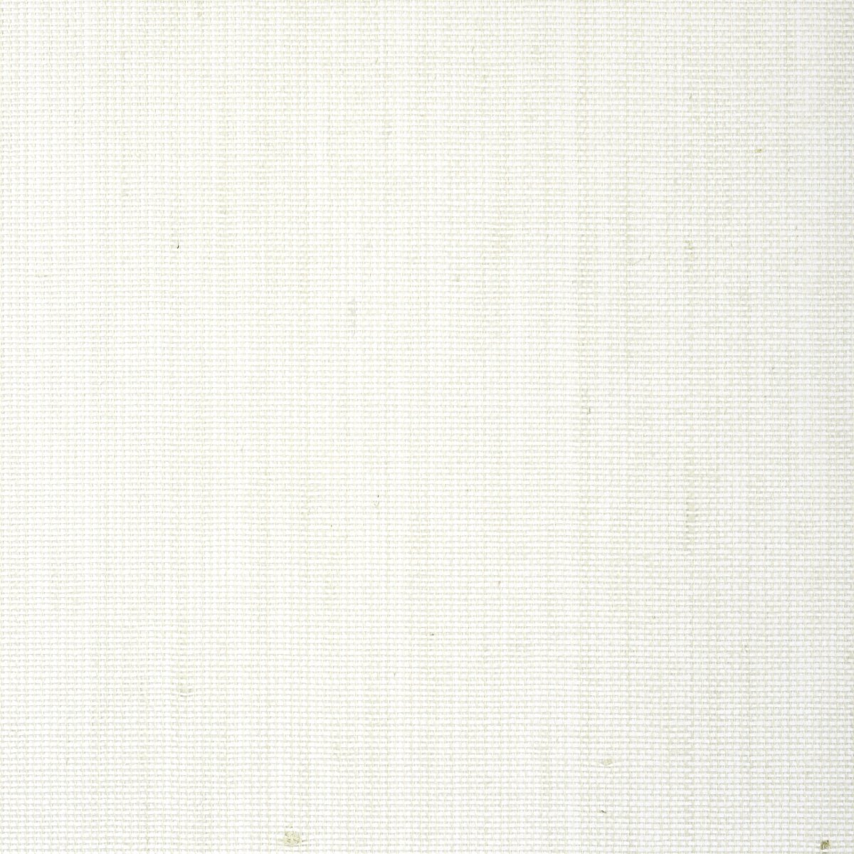 Thibaut Grasscloth Resource 5 Straw Jute Behang T24104 - LAB COLOUR THE WORLD