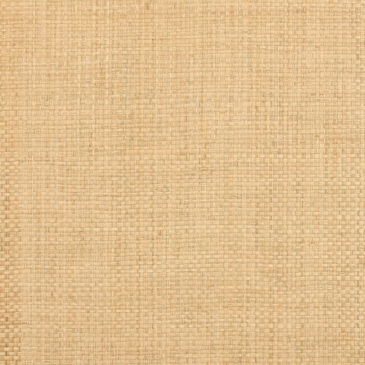 Thibaut Grasscloth Resource 6 Lauderdale Behang T19603 - LAB COLOUR THE WORLD