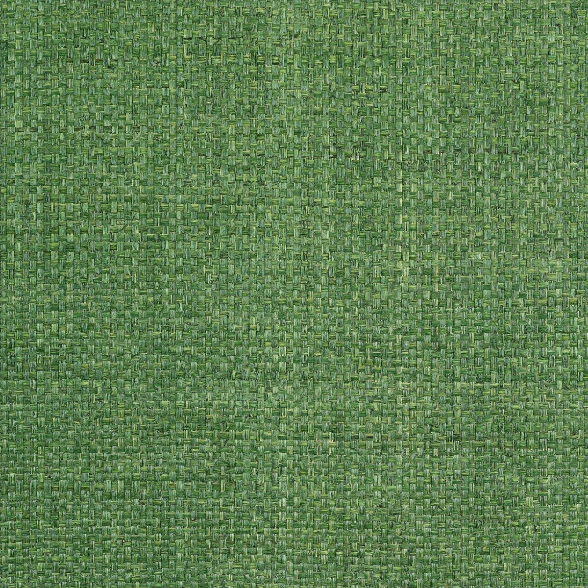 Thibaut Grasscloth Resource 6 Lauderdale Behang T19607 - LAB COLOUR THE WORLD
