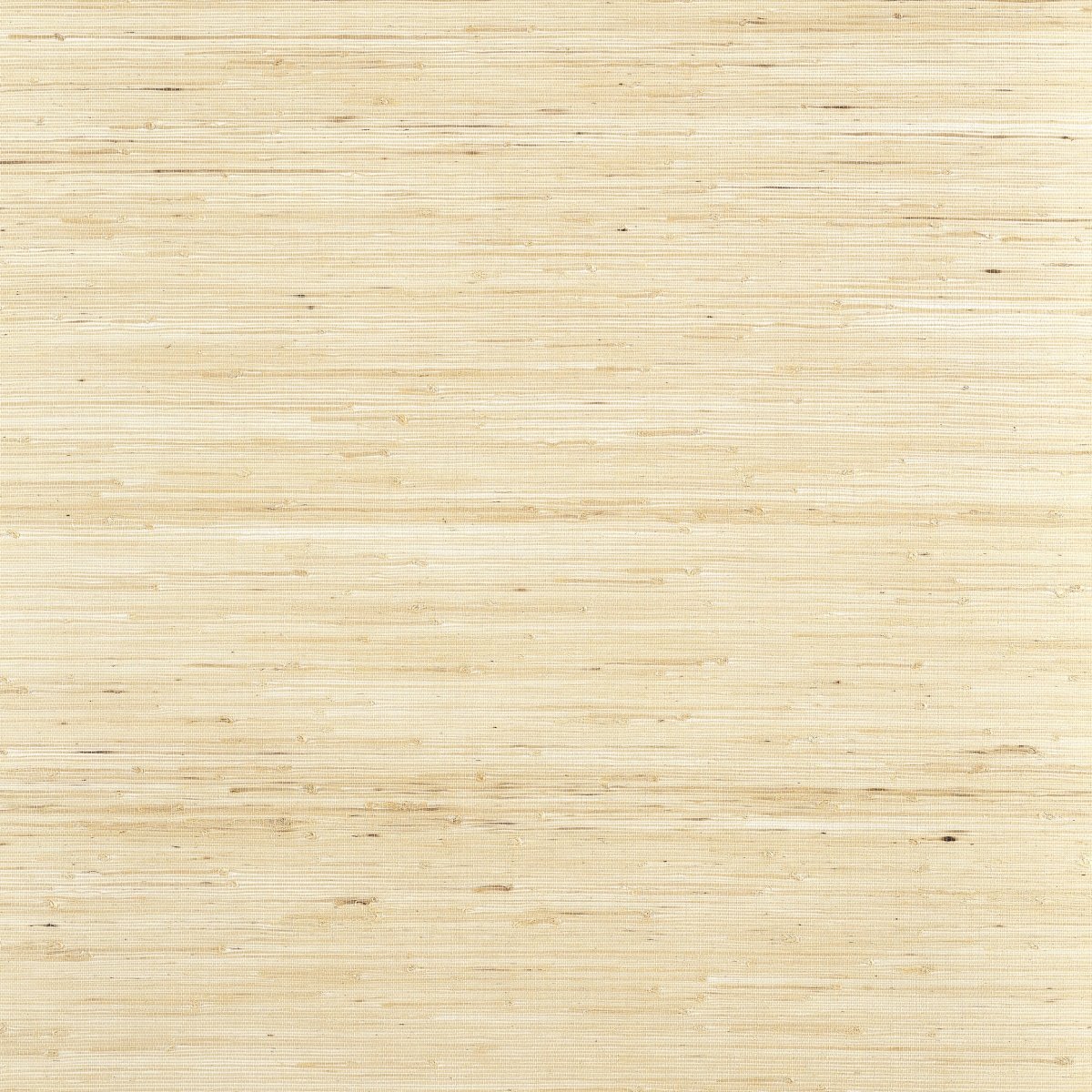 Thibaut Grasscloth Resource 6 Sydney Behang T19653 - LAB COLOUR THE WORLD