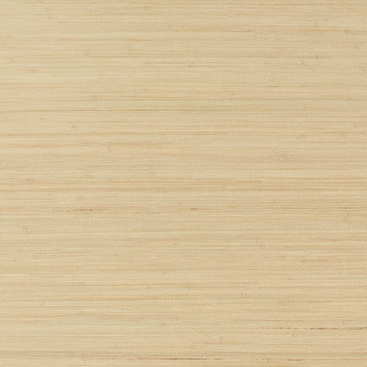 Thibaut Grasscloth Resource 7 Montgomery Weave Behang T10333 - LAB COLOUR THE WORLD