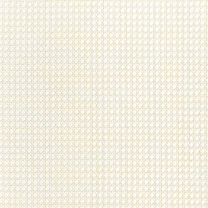 Thibaut Grasscloth Resource 7 Paper Rattan Behang T10388 - LAB COLOUR THE WORLD