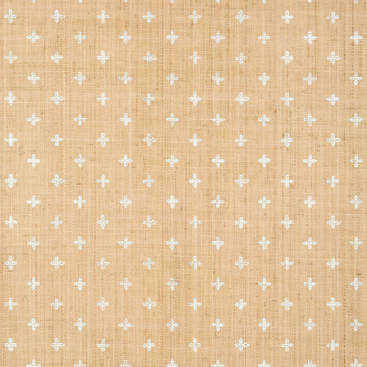Thibaut Indienne Bethany Behang T36450 - LAB COLOUR THE WORLD