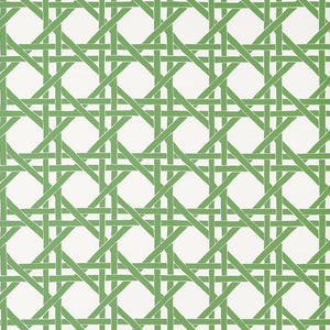 Thibaut Islander CANARY TRELLIS Green T15819 - LAB COLOUR THE WORLD