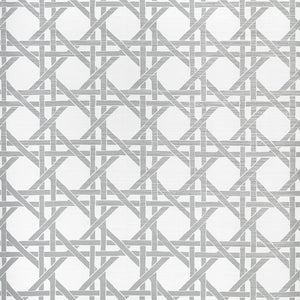 Thibaut Islander CANARY TRELLIS Metallic Silver T15822 - LAB COLOUR THE WORLD