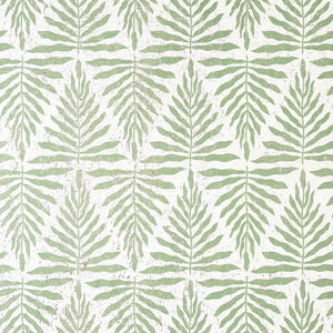 Thibaut Islander GASPARILLA Willow T15811 - LAB COLOUR THE WORLD