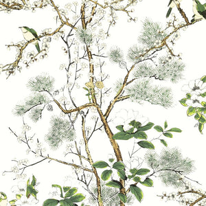 Thibaut Islander Grand Palace Katsura T13621 - LAB COLOUR THE WORLD