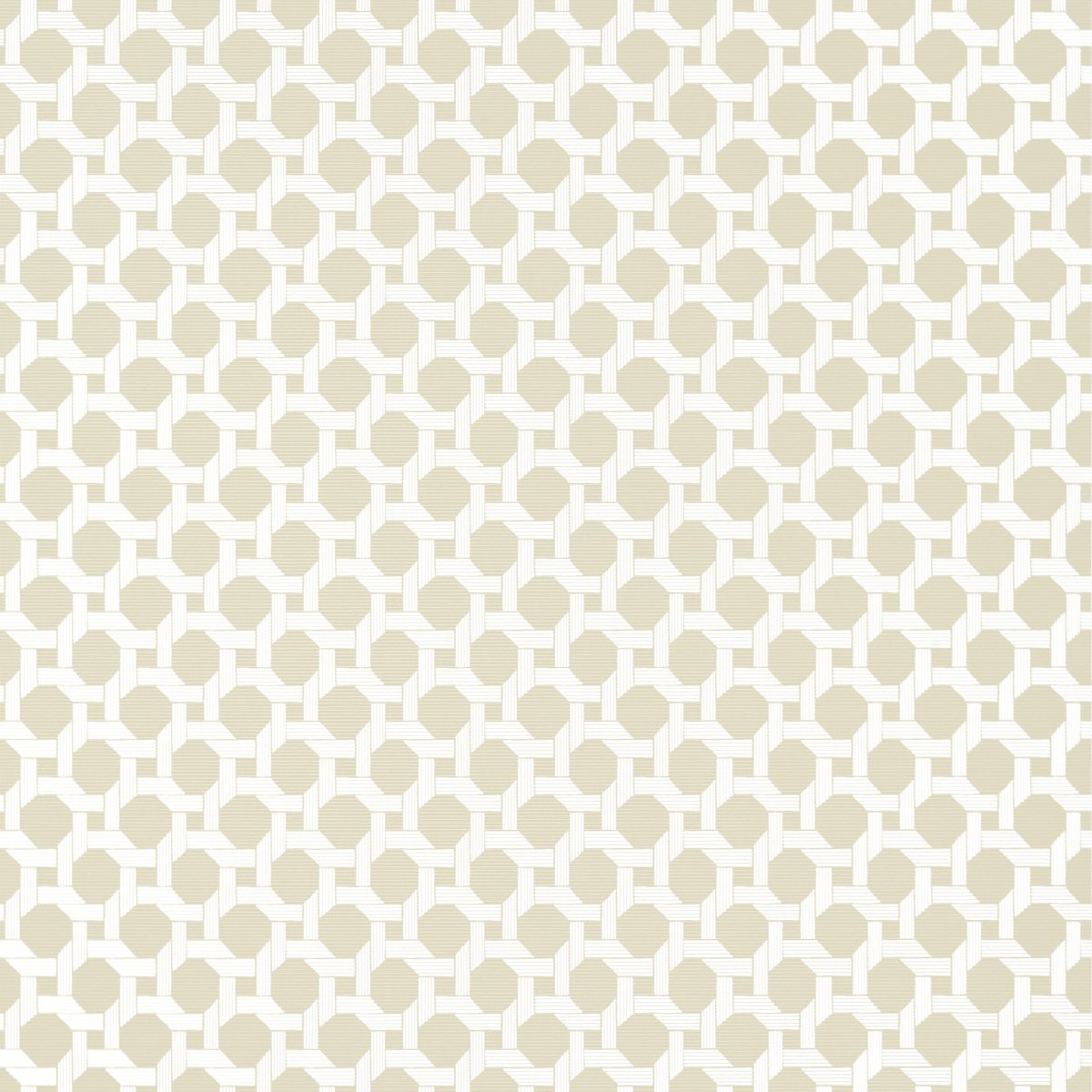 Thibaut Palm Grove Charter Behang T13961 - LAB COLOUR THE WORLD
