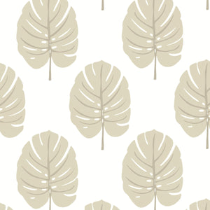 Thibaut Palm Grove Monstera Behang T13956 - LAB COLOUR THE WORLD