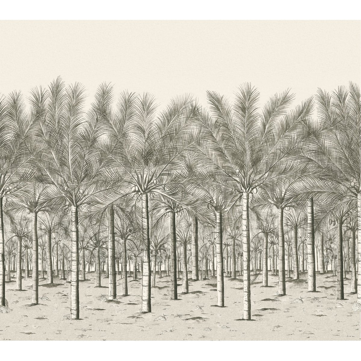 Thibaut Palm Grove Palm Grove Mural - 5 Panel Fullblack Behang TM13950 - LAB COLOUR THE WORLD