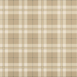 Thibaut Stripes and Checks Resource Douglas Plaid Behang T44073 - LAB COLOUR THE WORLD
