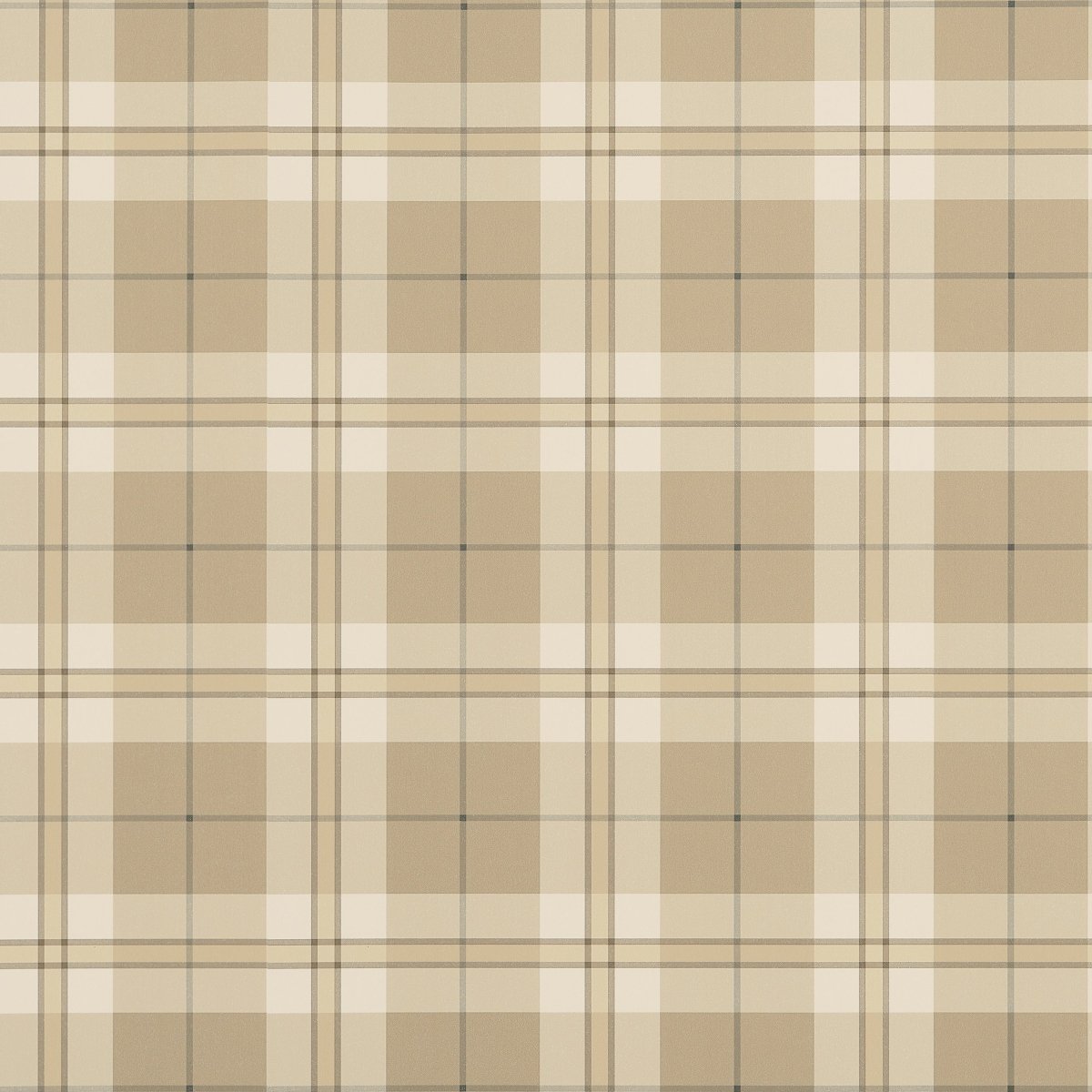 Thibaut Stripes and Checks Resource Douglas Plaid Behang T44073 - LAB COLOUR THE WORLD