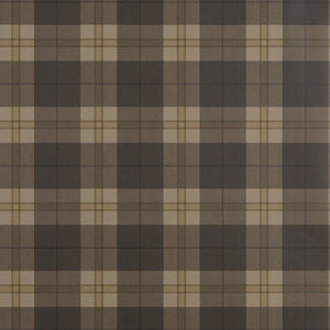 Thibaut Stripes and Checks Resource Douglas Plaid Behang T44074 - LAB COLOUR THE WORLD