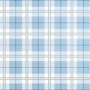 Thibaut Stripes and Checks Resource Douglas Plaid Behang T44075 - LAB COLOUR THE WORLD