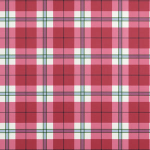 Thibaut Stripes & Checks Resource Douglas Plaid Behang T44070 - LAB COLOUR THE WORLD