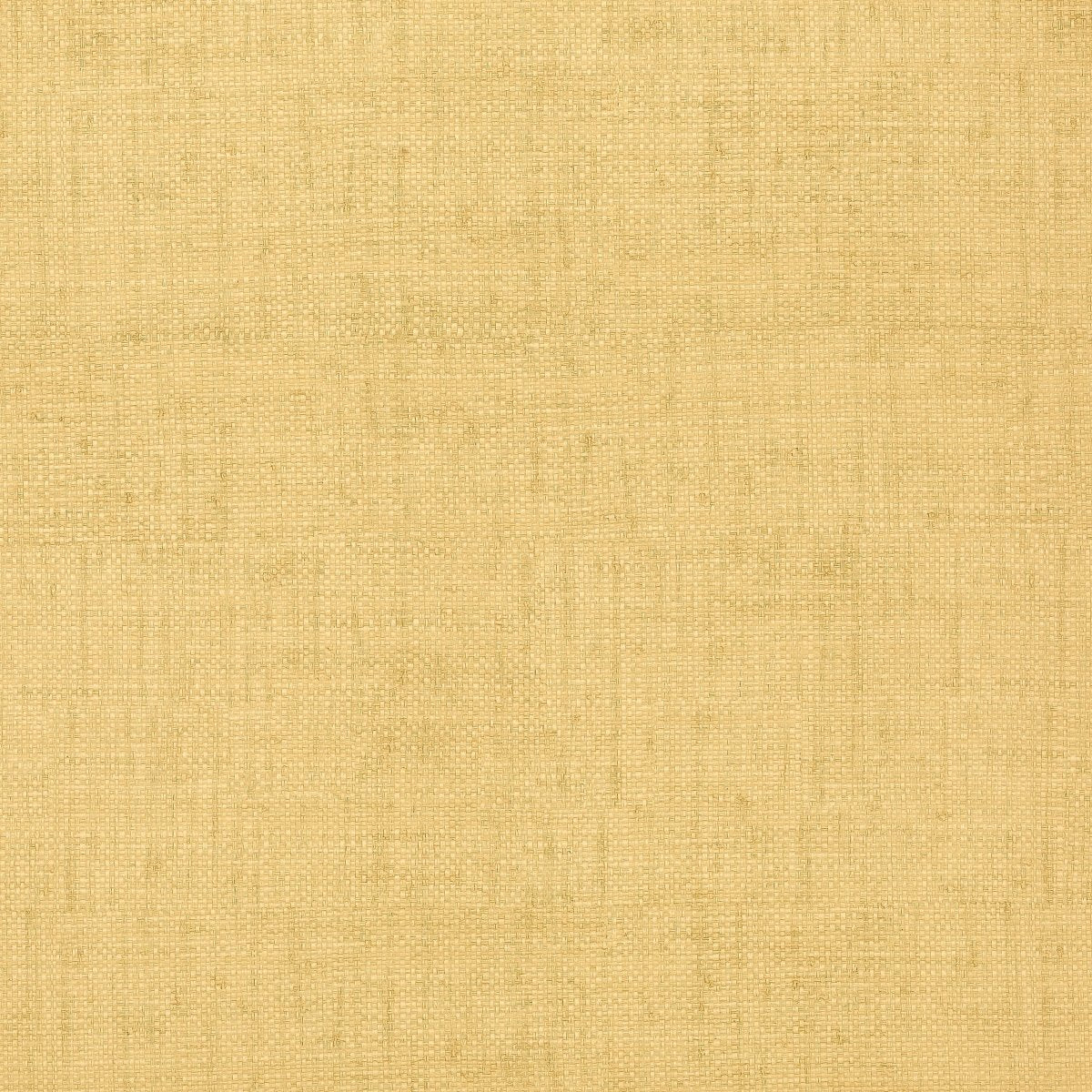 Thibaut Texture Resource 3 Bankun Raffia Behang T6813 - LAB COLOUR THE WORLD